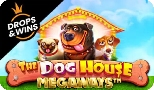 Gioco Dog House