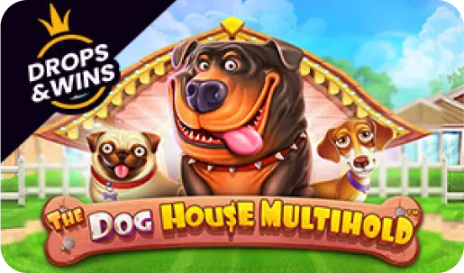 Gioco Dog House Multihold su Megapari